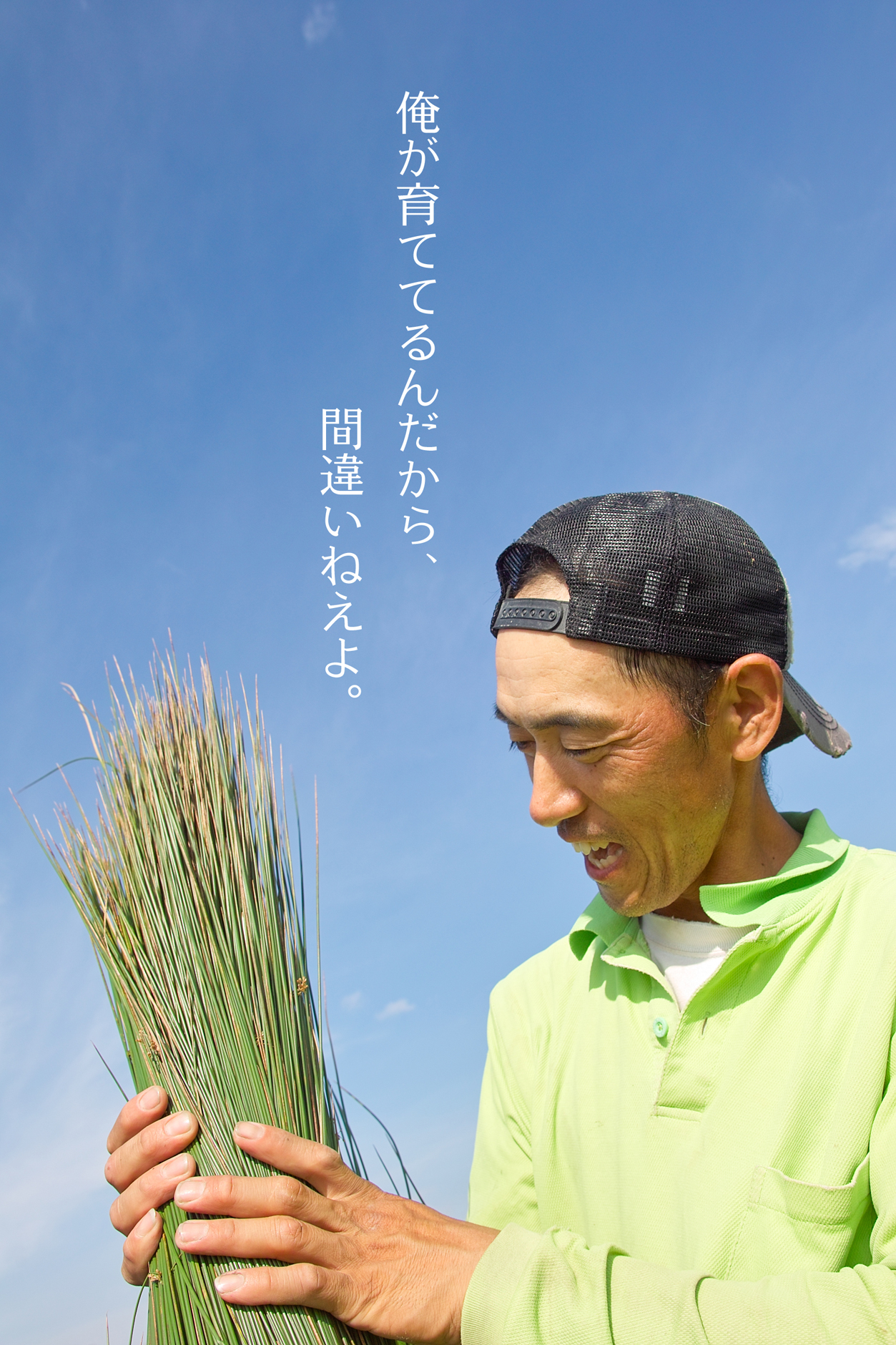 い草農家の畑野泰人さん