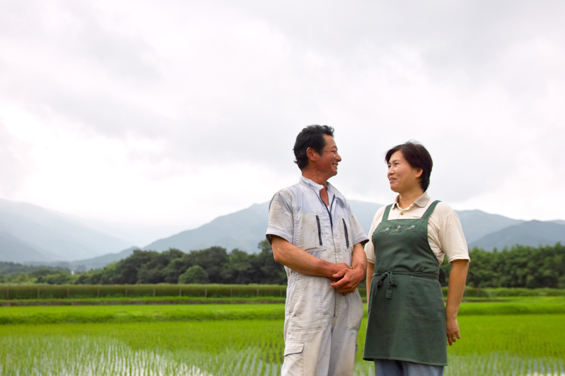 い草農家の田中弘幸さん